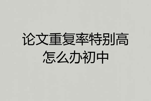 论文重复率特别高怎么办初中