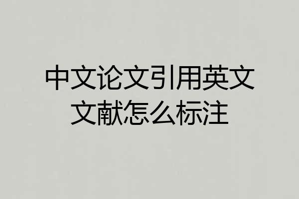 中文论文引用英文文献怎么标注
