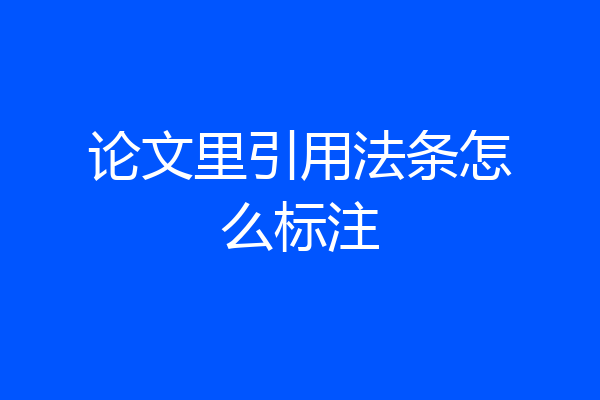 论文里引用法条怎么标注