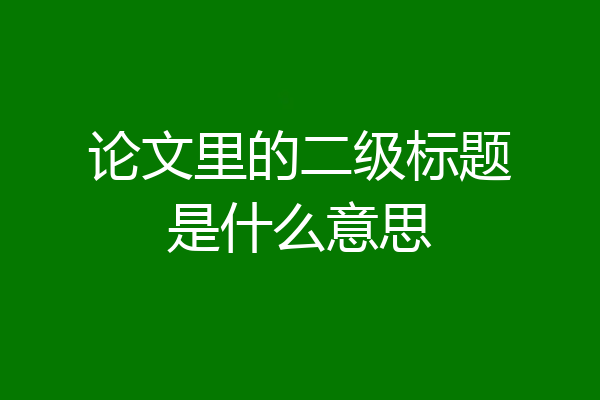 论文里的二级标题是什么意思