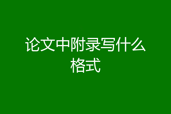 论文中附录写什么格式