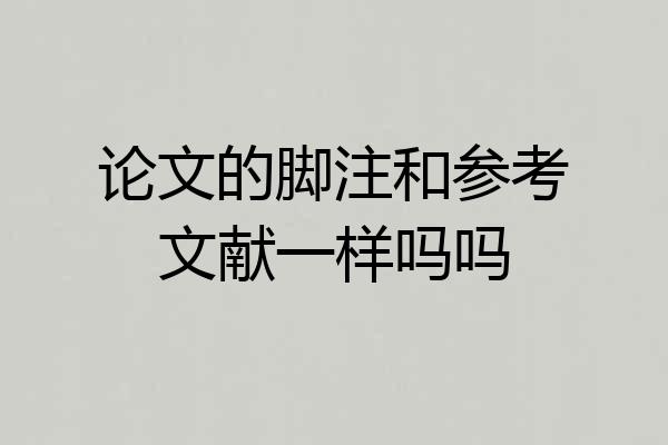 论文的脚注和参考文献一样吗吗