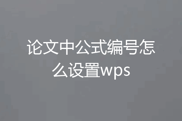 论文中公式编号怎么设置wps