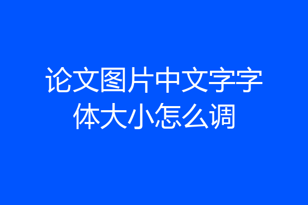论文图片中文字字体大小怎么调
