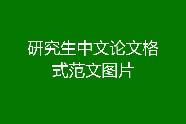 研究生中文论文格式范文图片
