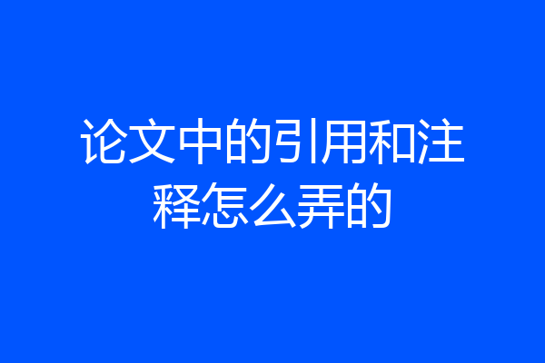 论文中的引用和注释怎么弄的