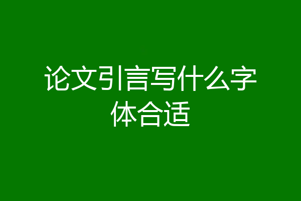 论文引言写什么字体合适