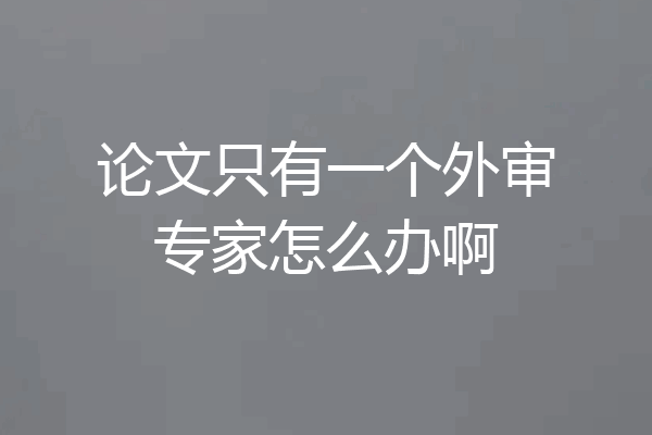 论文只有一个外审专家怎么办啊