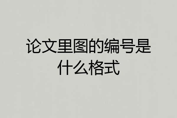 论文里图的编号是什么格式