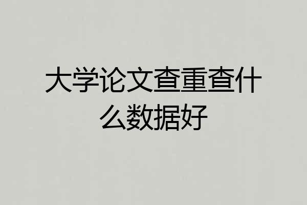 大学论文查重查什么数据好