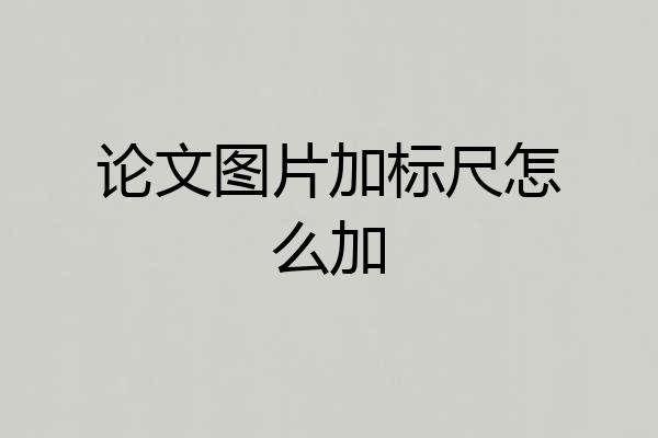 论文图片加标尺怎么加