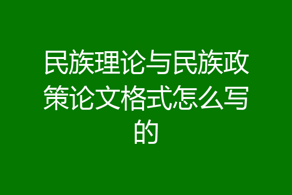 民族理论与民族政策论文格式怎么写的
