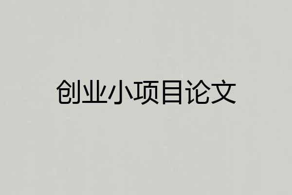 创业小项目论文