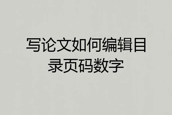 写论文如何编辑目录页码数字