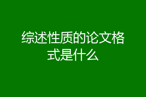 综述性质的论文格式是什么