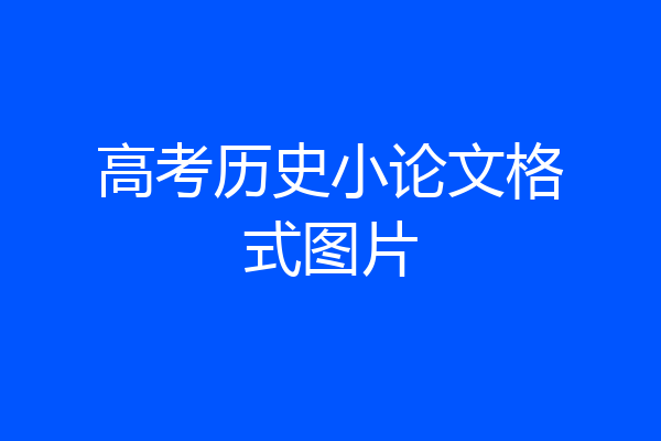 高考历史小论文格式图片