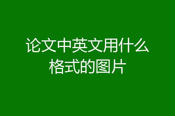 论文中英文用什么格式的图片