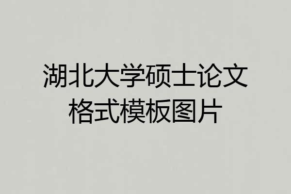 湖北大学硕士论文格式模板图片