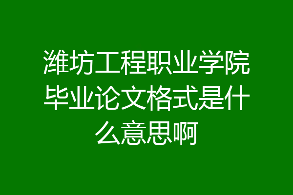 潍坊工程职业学院毕业论文格式是什么意思啊