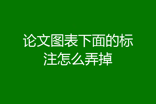 论文图表下面的标注怎么弄掉