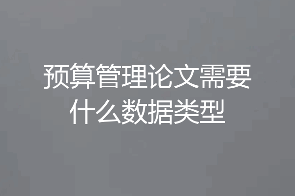 预算管理论文需要什么数据类型