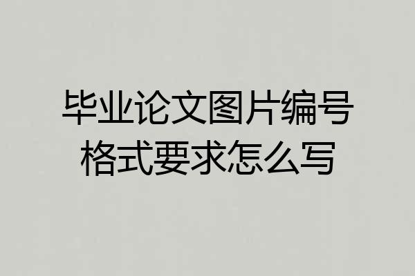 毕业论文图片编号格式要求怎么写