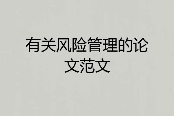 有关风险管理的论文范文