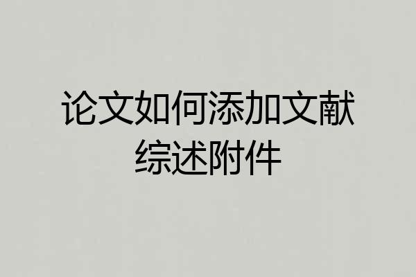 论文如何添加文献综述附件