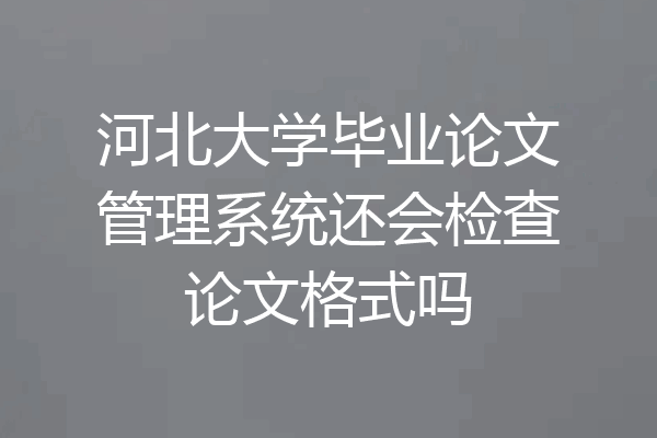 河北大学毕业论文管理系统还会检查论文格式吗