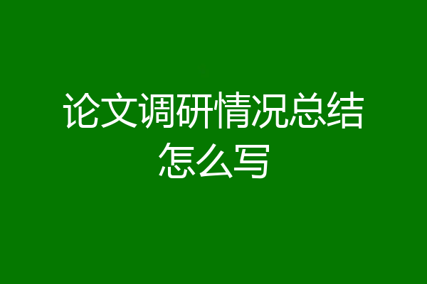 论文调研情况总结怎么写