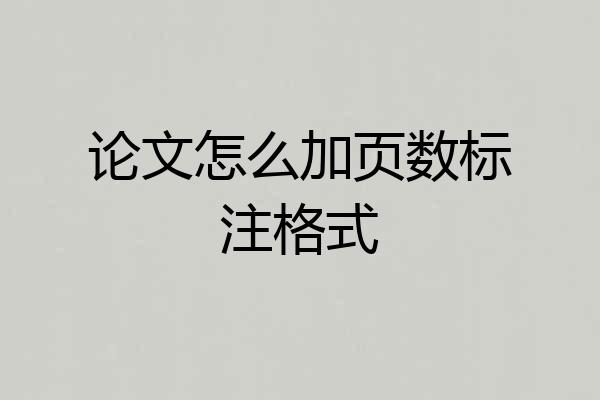 论文怎么加页数标注格式