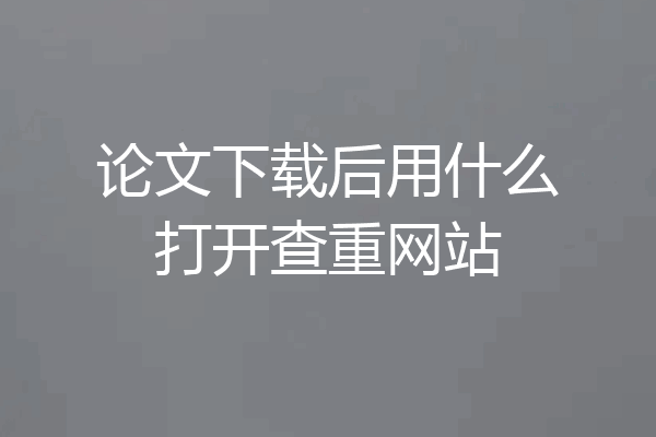 论文下载后用什么打开查重网站