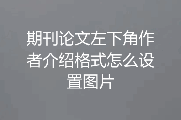 期刊论文左下角作者介绍格式怎么设置图片