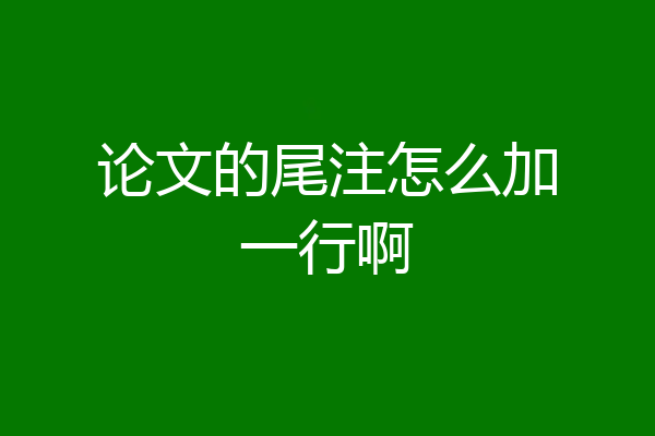 论文的尾注怎么加一行啊