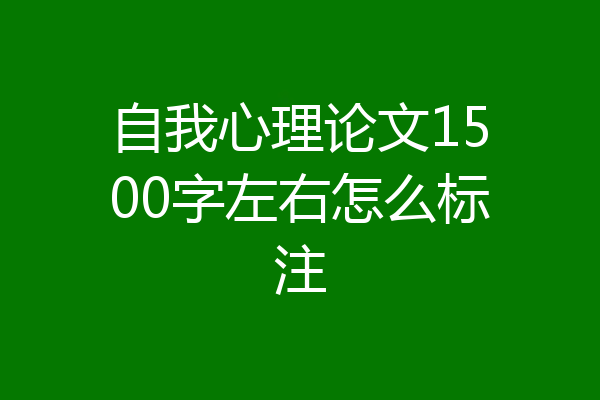 自我心理论文1500字左右怎么标注