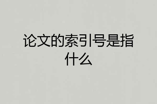 论文的索引号是指什么