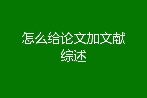 怎么给论文加文献综述