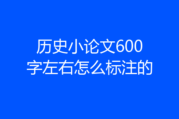 历史小论文600字左右怎么标注的