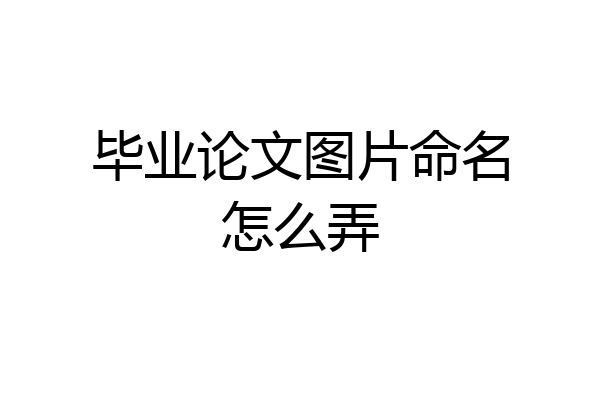 毕业论文图片命名怎么弄