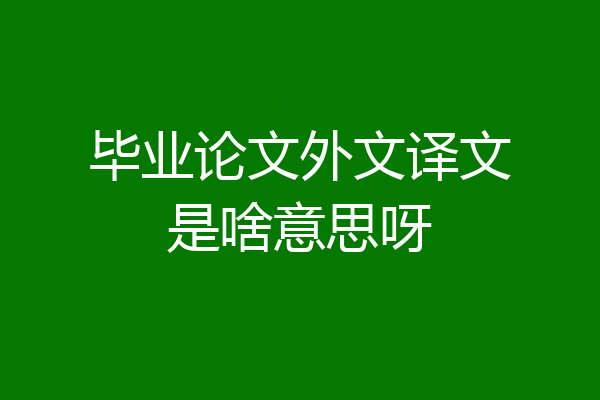 毕业论文外文译文是啥意思呀