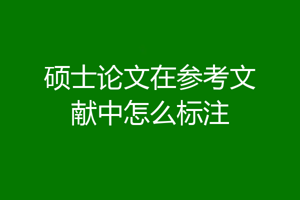 硕士论文在参考文献中怎么标注