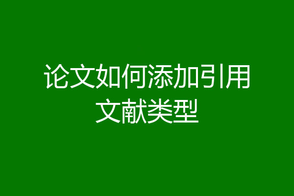 论文如何添加引用文献类型