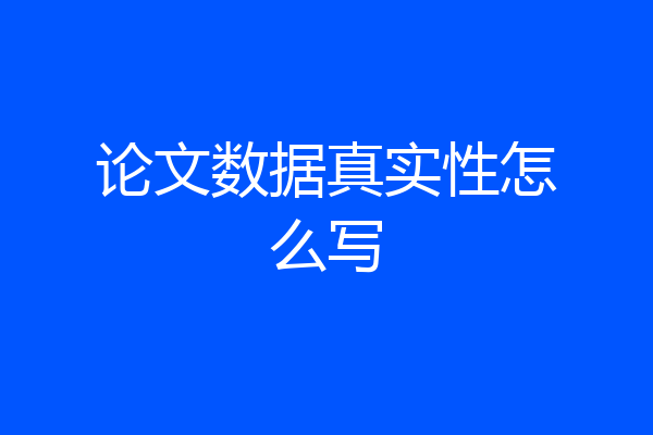 论文数据真实性怎么写