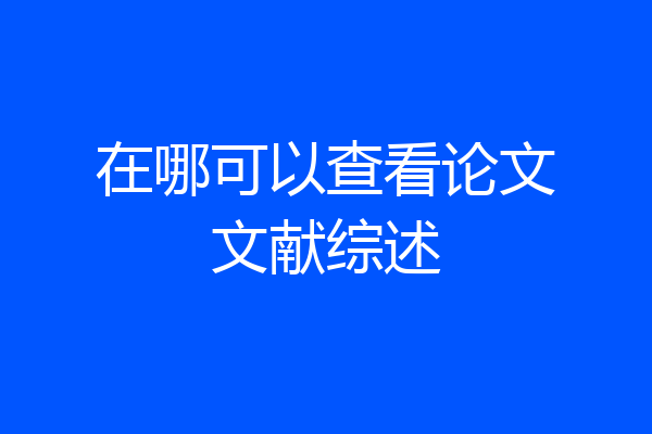 在哪可以查看论文文献综述