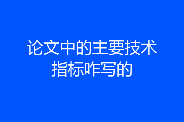 论文中的主要技术指标咋写的