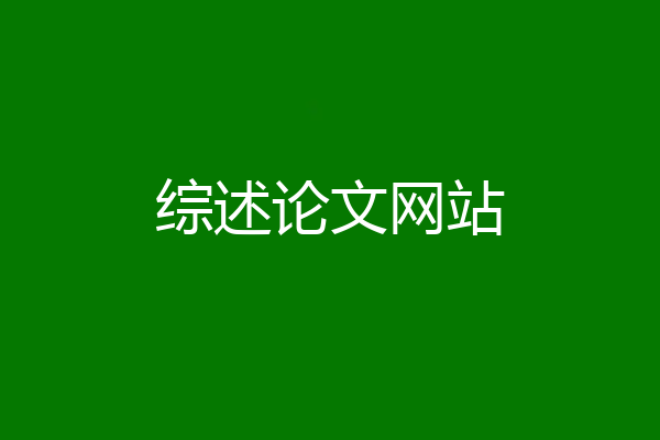 综述论文网站