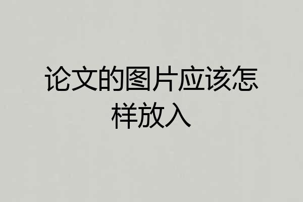 论文的图片应该怎样放入