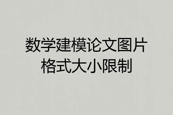 数学建模论文图片格式大小限制