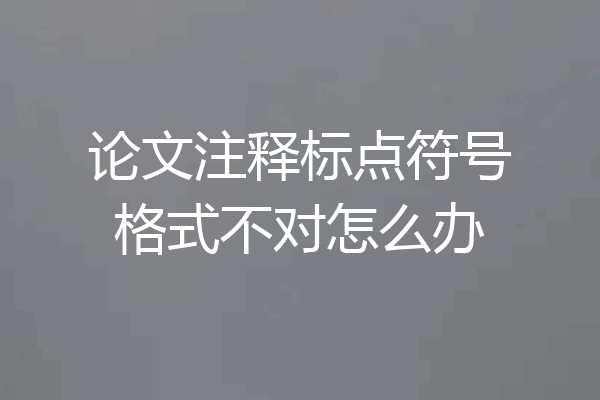 论文注释标点符号格式不对怎么办