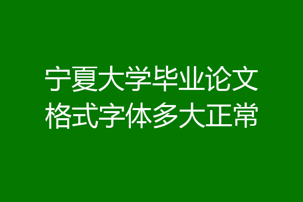 宁夏大学毕业论文格式字体多大正常